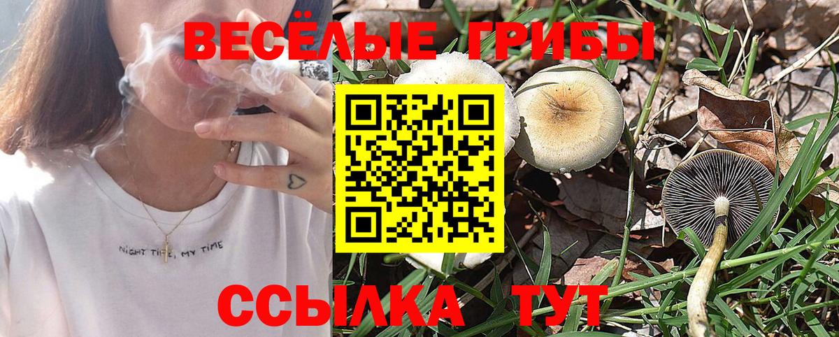 Галлюциногенные грибы мицелий Трёхгорный