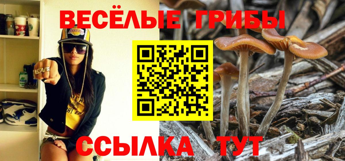 Галлюциногенные грибы прущие грибы  Псилоцибиновые грибы Psilocybine cubensis  Вход с VPN  Трёхгорный 